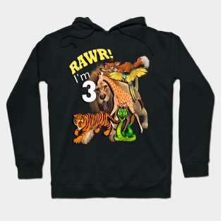 Birthday 3 Year Old Graphic Design Rawr I'm 3 Jungle Safari Hoodie